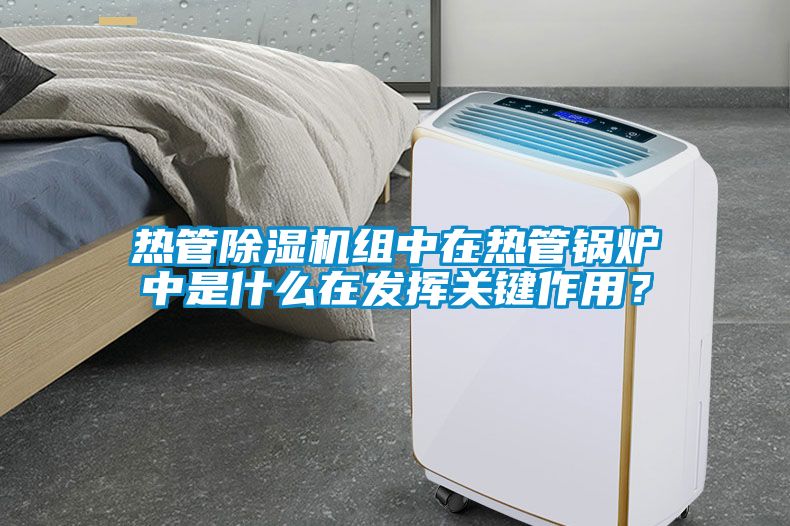 热管除湿机组中在热管锅炉中是什么在发挥关键作用？