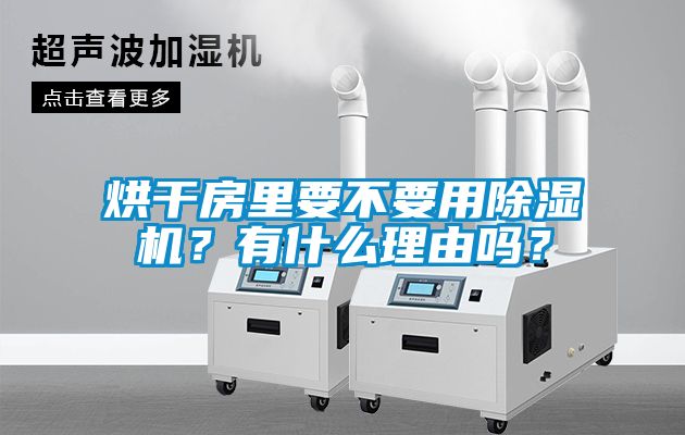 烘干房里要不要用除湿机？有什么理由吗？