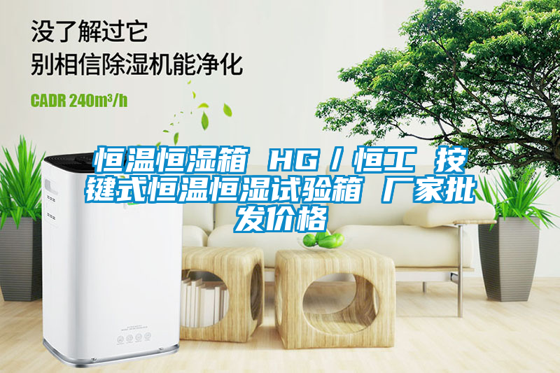 恒温恒湿箱 HG／恒工 按键式恒温恒湿试验箱 厂家批发价格