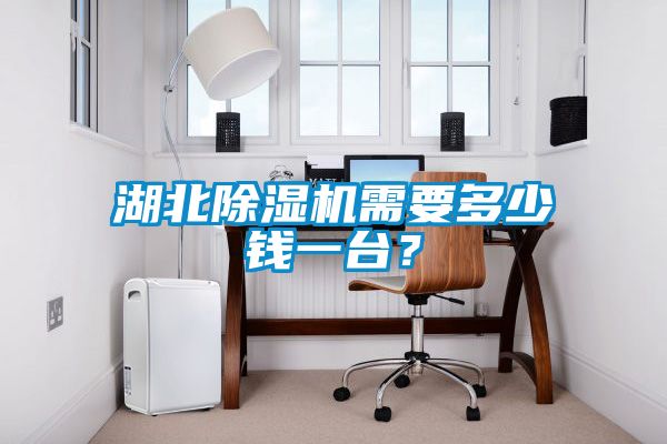 湖北除湿机需要多少钱一台？