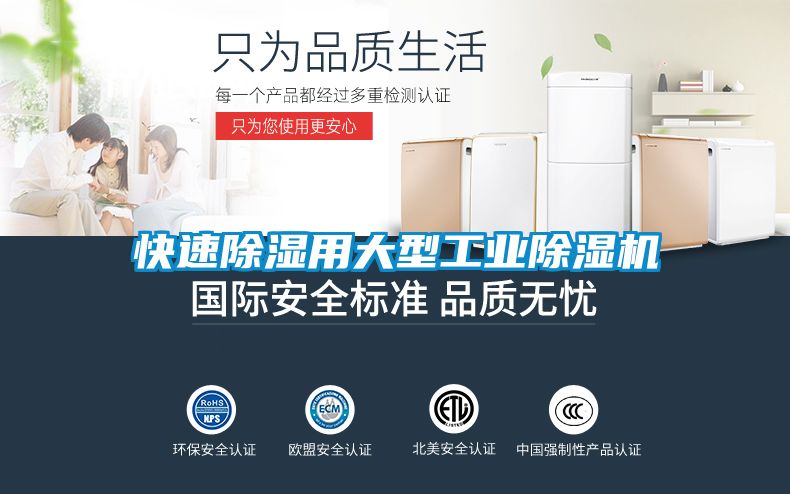 快速除湿用大型工业除湿机