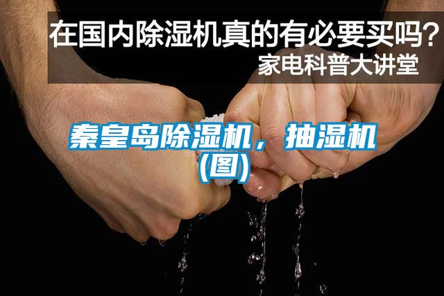 秦皇岛除湿机，抽湿机(图)