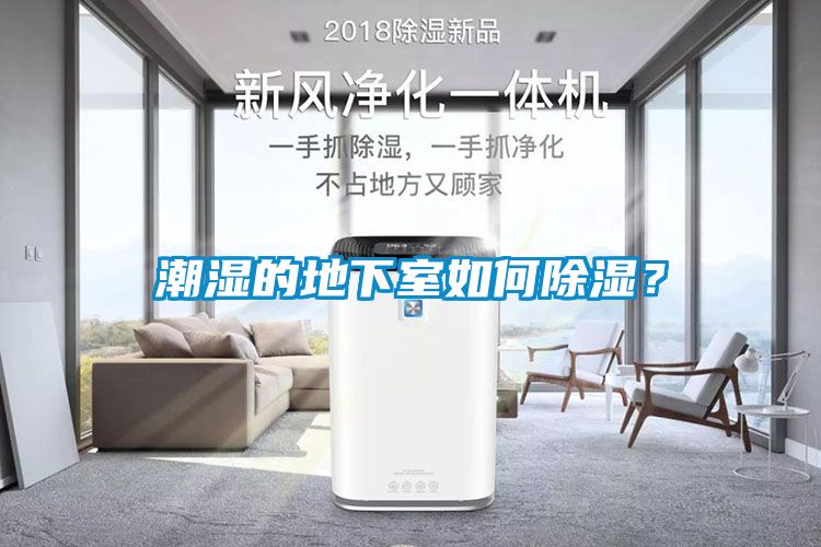 潮湿的地下室如何除湿？