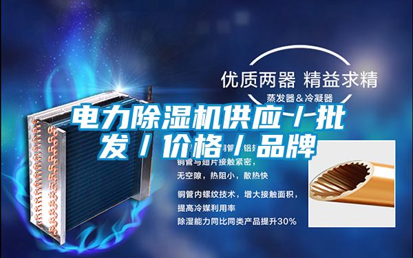 电力除湿机供应/批发/价格/品牌