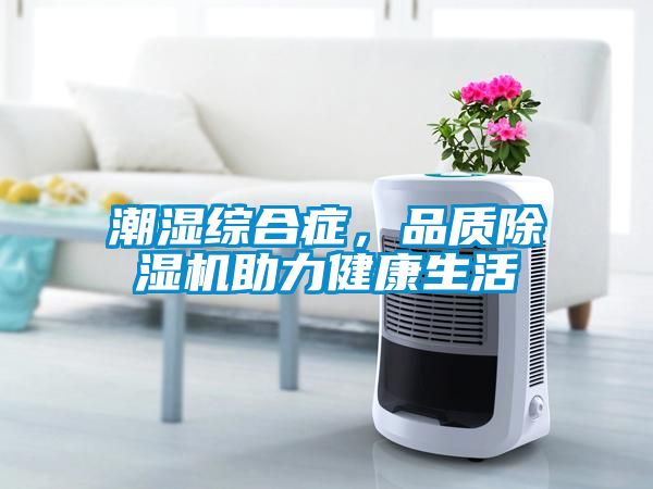 潮湿综合症,品质除湿机助力健康生活