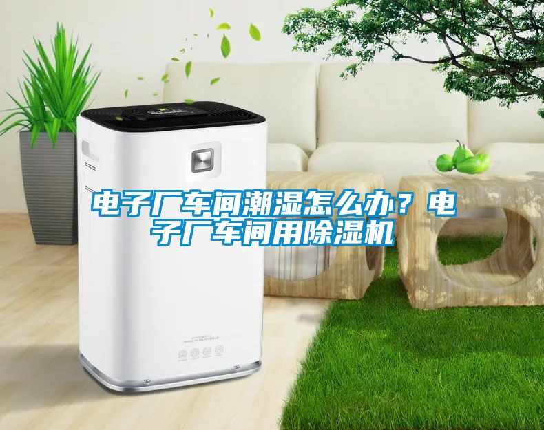 电子厂车间潮湿怎么办？电子厂车间用除湿机