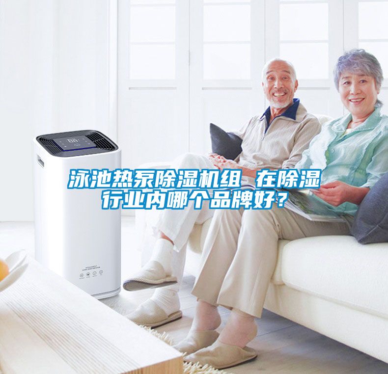 泳池热泵除湿机组 在除湿行业内哪个品牌好？