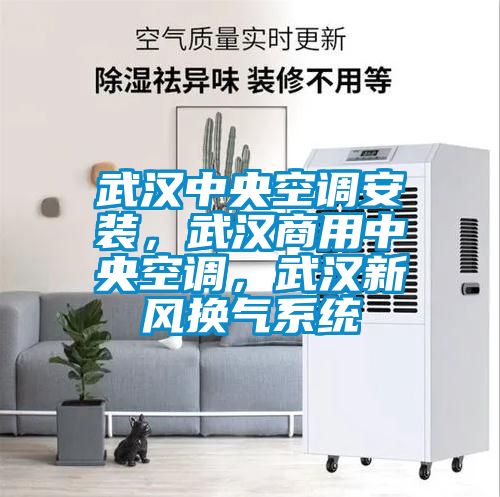 武汉中央空调安装，武汉商用中央空调，武汉新风换气系统