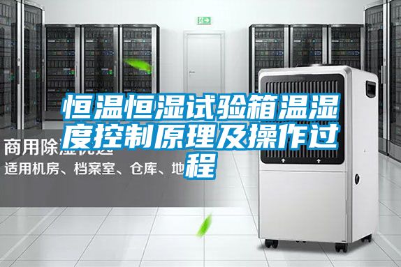 恒温恒湿试验箱温湿度控制原理及操作过程