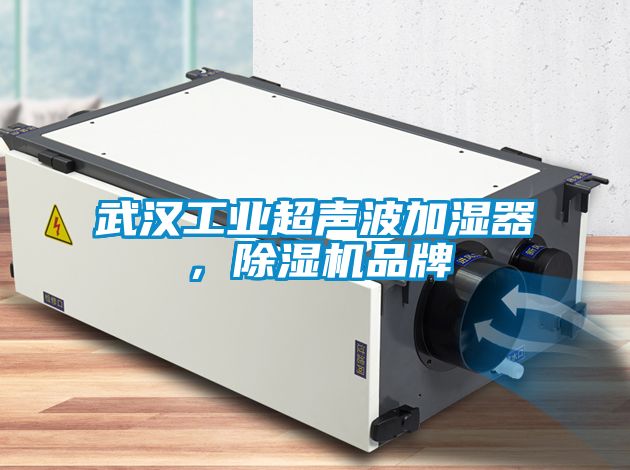 武汉工业超声波加湿器，除湿机品牌