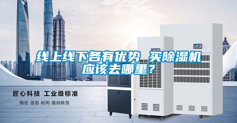 线上线下各有优势 买除湿机应该去哪里？