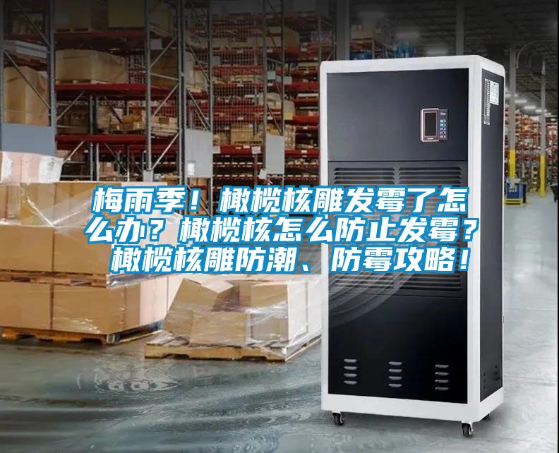 梅雨季！橄榄核雕发霉了怎么办？橄榄核怎么防止发霉？ 橄榄核雕防潮、防霉攻略！