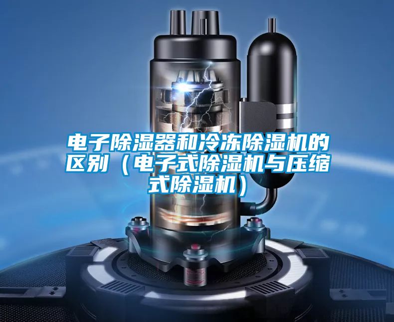 电子除湿器和冷冻除湿机的区别(电子式除湿机与压缩式除湿机)