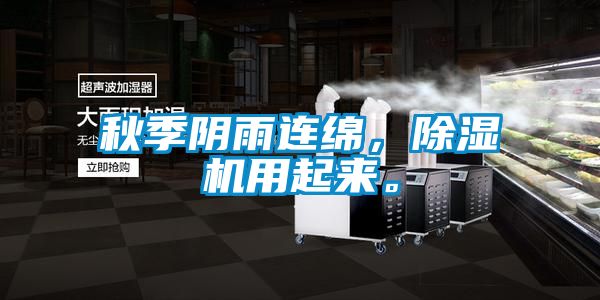 秋季阴雨连绵，除湿机用起来。
