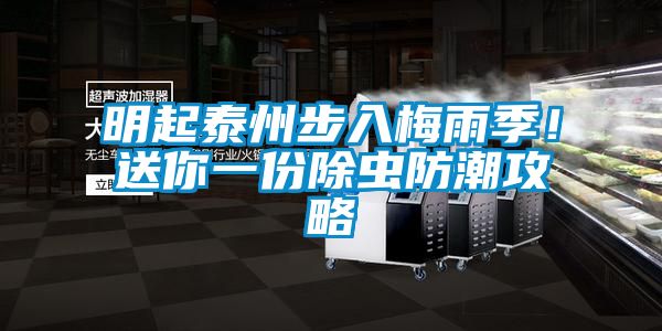 明起泰州步入梅雨季！送你一份除虫防潮攻略
