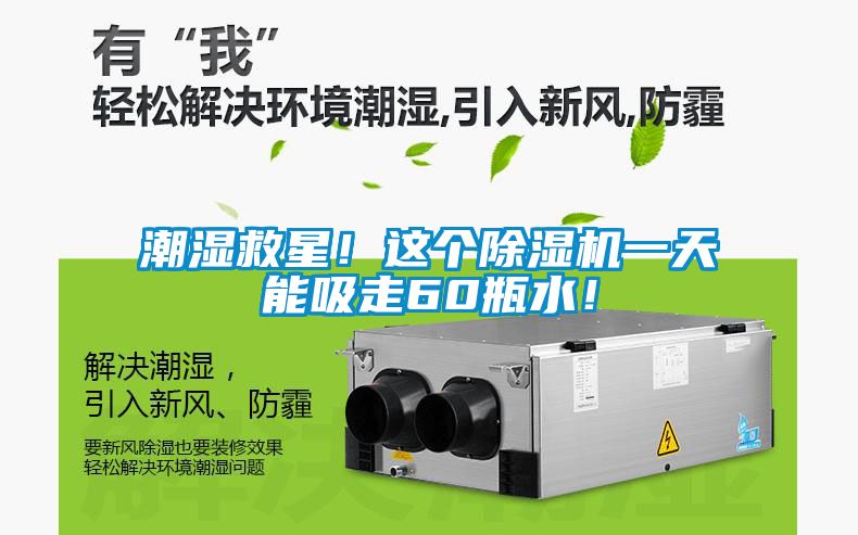 潮湿救星！这个除湿机一天能吸走60瓶水！