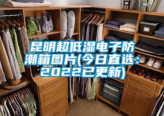昆明超低湿电子防潮箱图片(今日直?。?022已更新)
