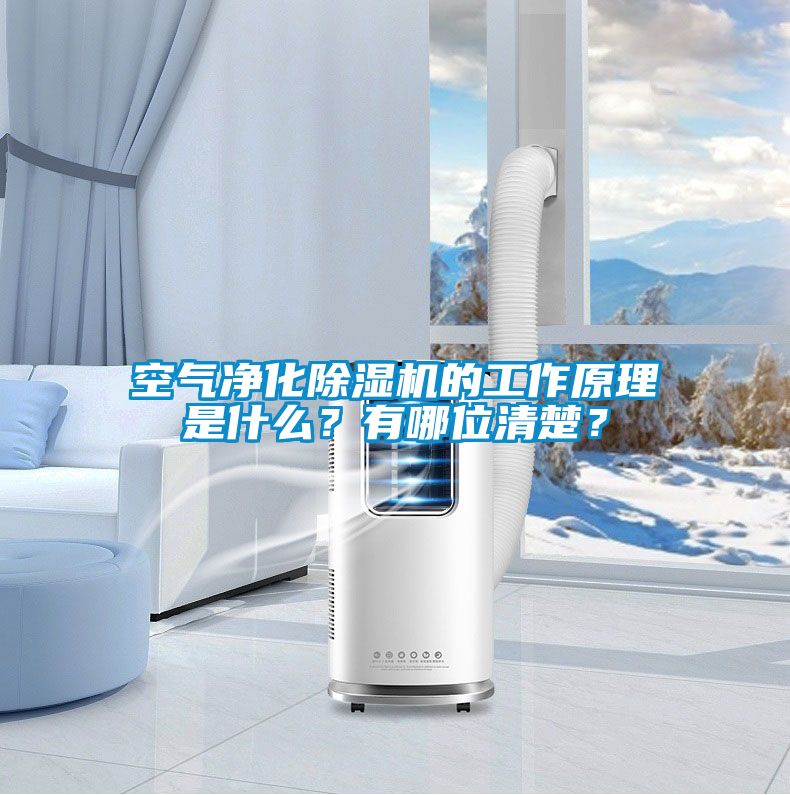 空气净化除湿机的工作原理是什么？有哪位清楚？