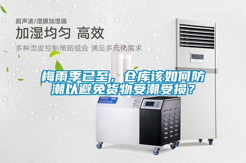 梅雨季已至，仓库该如何防潮以避免货物受潮受损？