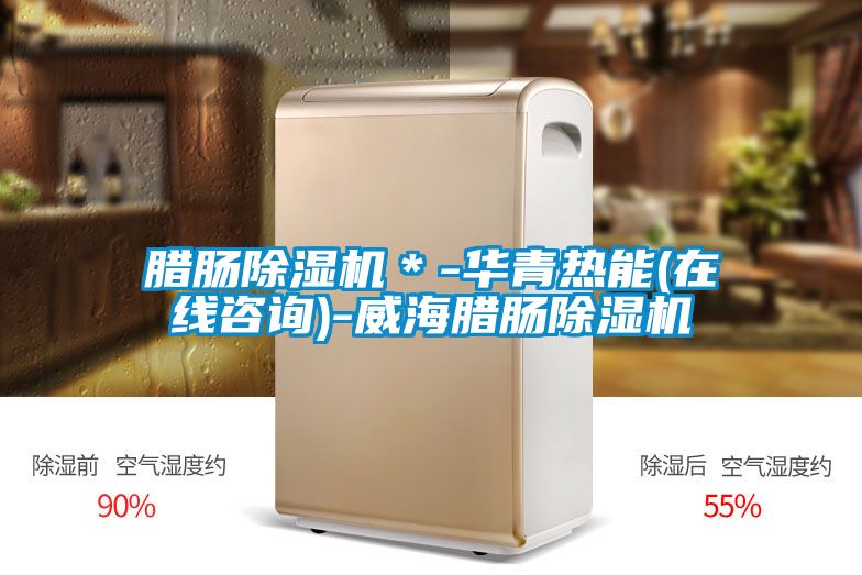 腊肠除湿机*-华青热能(在线咨询)-威海腊肠除湿机