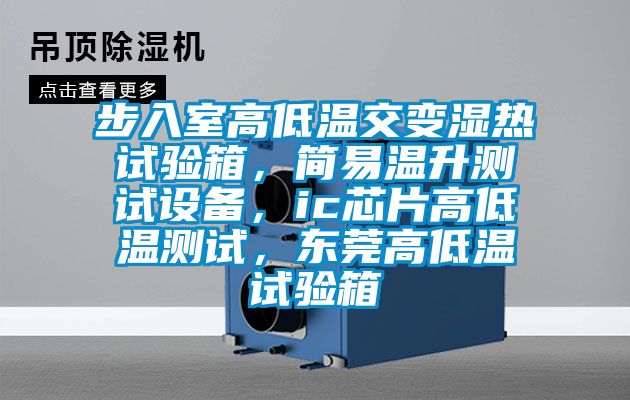 步入室高低温交变湿热试验箱，简易温升测试设备，ic芯片高低温测试，东莞高低温试验箱