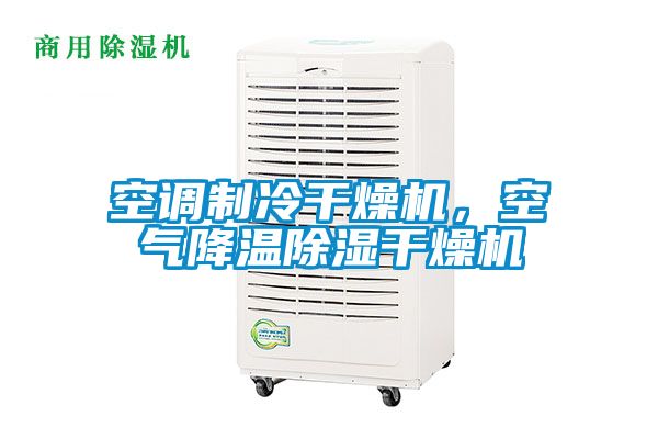 空调制冷干燥机，空气降温除湿干燥机