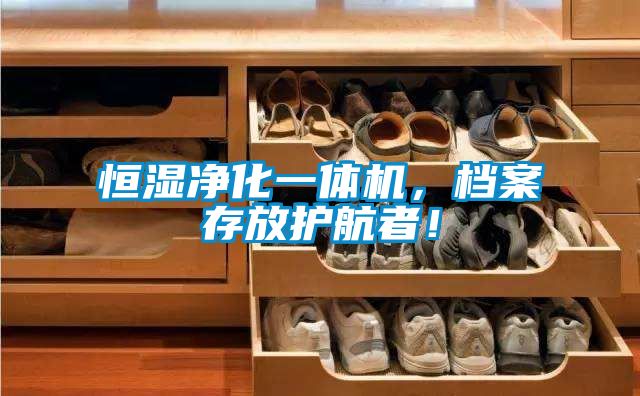 恒湿净化一体机，档案存放护航者！