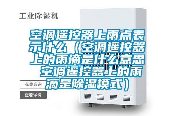 空调遥控器上雨点表示什么（空调?？仄魃系挠甑问鞘裁匆馑?空调?？仄魃系挠甑问浅Ｊ剑?/></p>
						    <p style=
