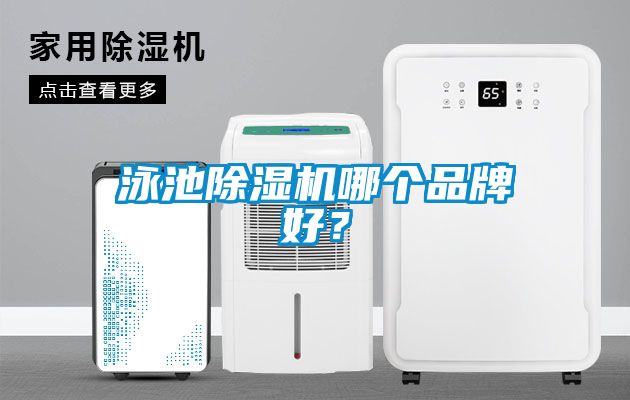 泳池除湿机哪个品牌好？