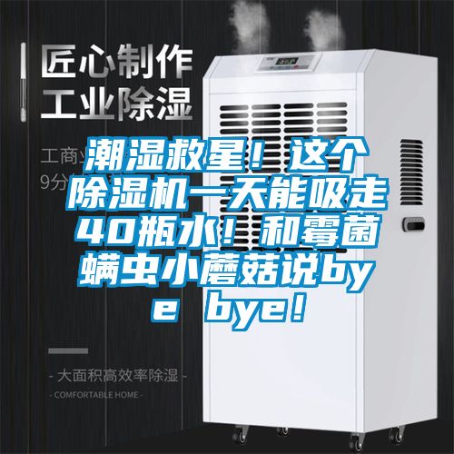 潮湿救星！这个除湿机一天能吸走40瓶水！和霉菌螨虫小蘑菇说bye bye！