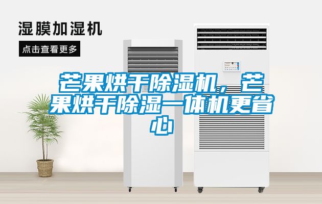 芒果烘干除湿机，芒果烘干除湿一体机更省心