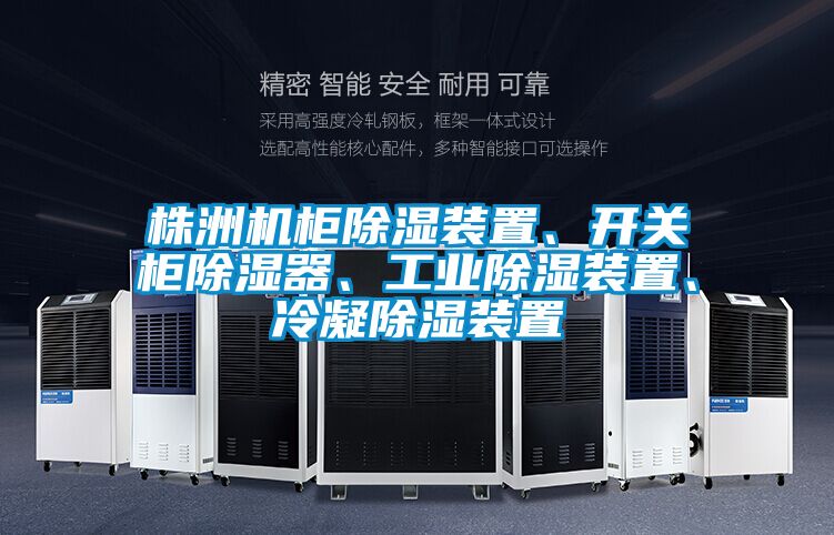 株洲机柜除湿装置、开关柜除湿器、工业除湿装置、冷凝除湿装置