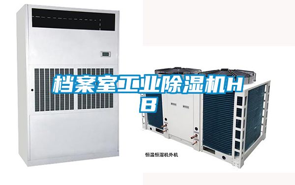 档案室工业除湿机HB