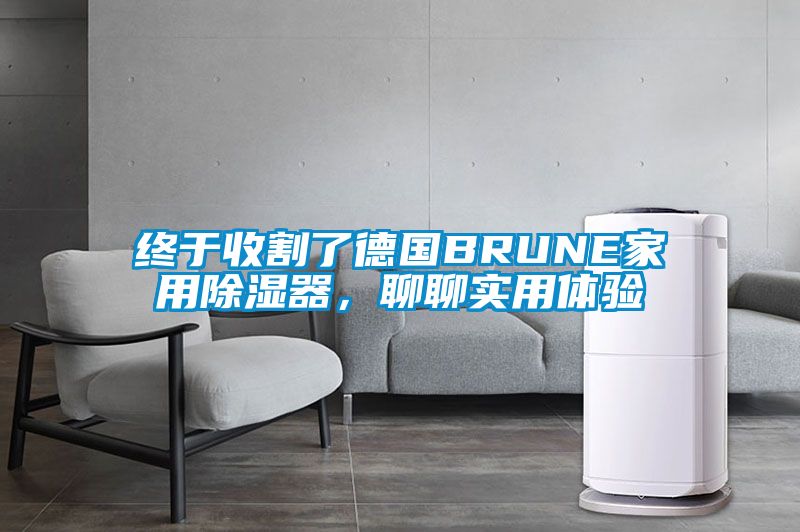终于收割了德国BRUNE家用除湿器，聊聊实用体验