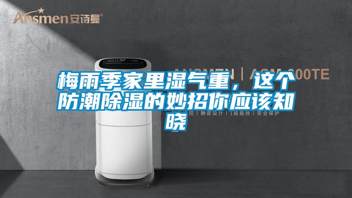 梅雨季家里湿气重，这个防潮除湿的妙招你应该知晓