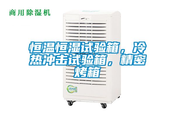 恒温恒湿试验箱，冷热冲击试验箱，精密烤箱