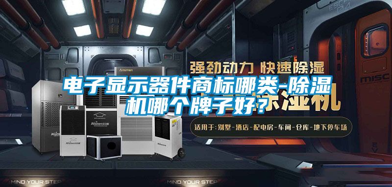 电子显示器件商标哪类-除湿机哪个牌子好？