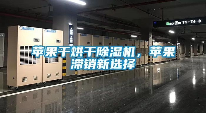 苹果干烘干除湿机，苹果滞销新选择