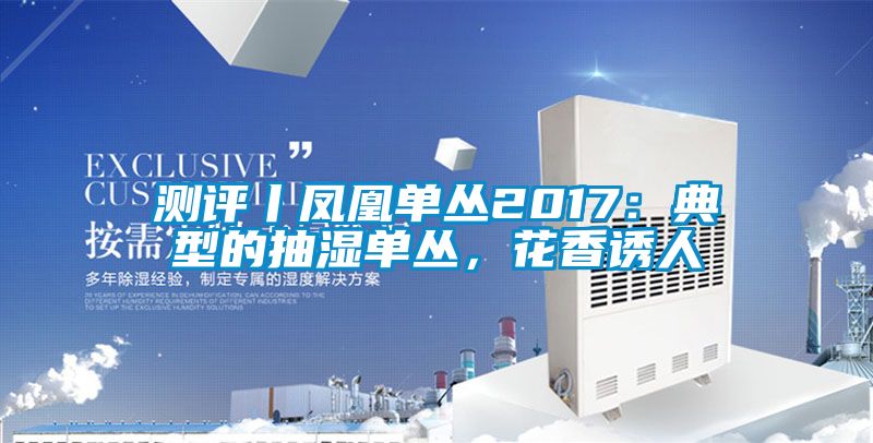 测评丨凤凰单丛2017：典型的抽湿单丛，花香诱人