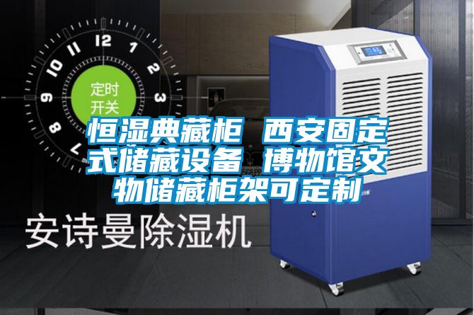 恒湿典藏柜 西安固定式储藏设备 博物馆文物储藏柜架可定制