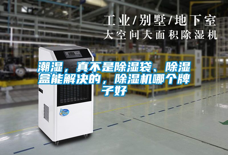 潮湿，真不是除湿袋、除湿盒能解决的，除湿机哪个牌子好
