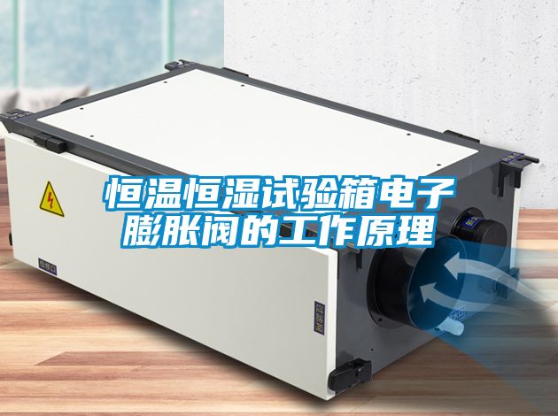 恒温恒湿试验箱电子膨胀阀的工作原理