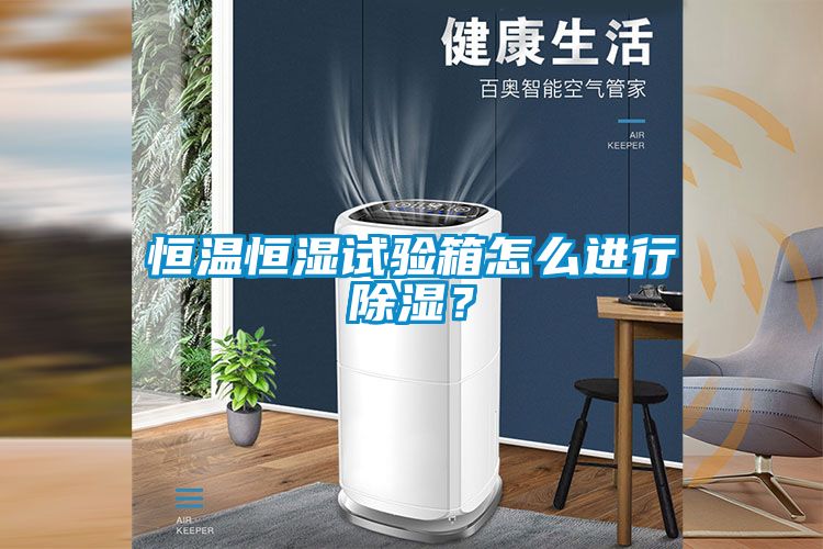 恒温恒湿试验箱怎么进行除湿？