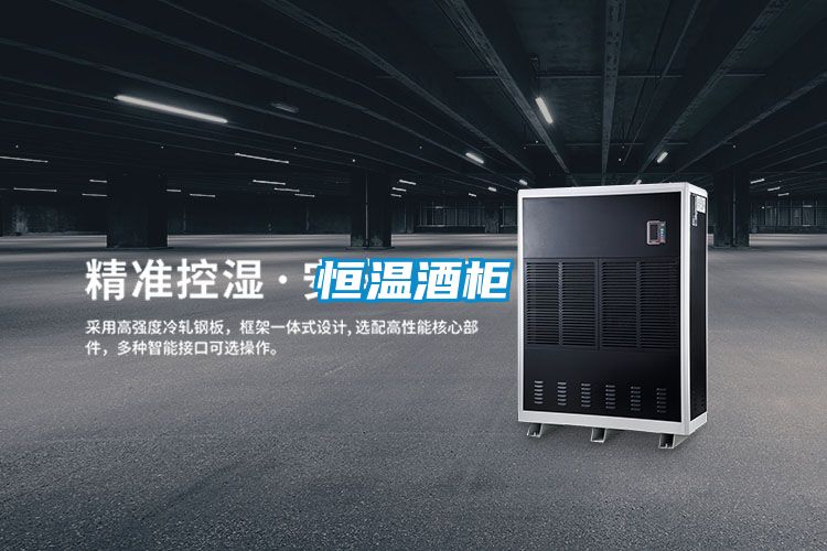 恒温酒柜