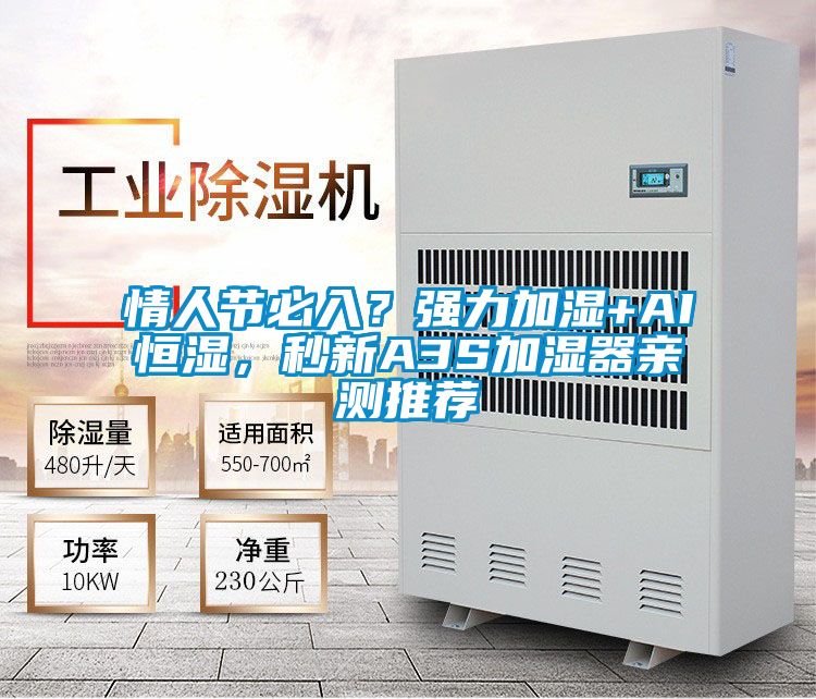 情人节必入？强力加湿+AI恒湿，秒新A3S加湿器亲测推荐