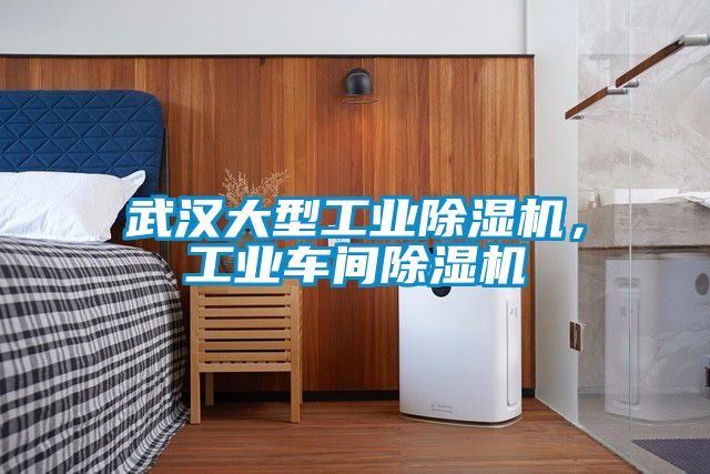 武汉大型工业除湿机，工业车间除湿机