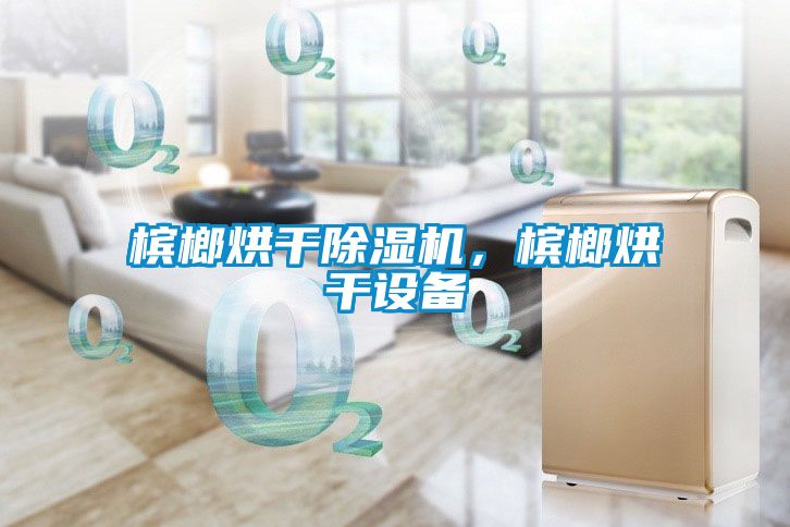 槟榔烘干除湿机，槟榔烘干设备