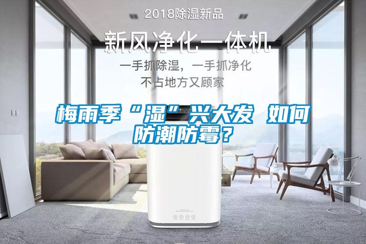 梅雨季“湿”兴大发 如何防潮防霉？