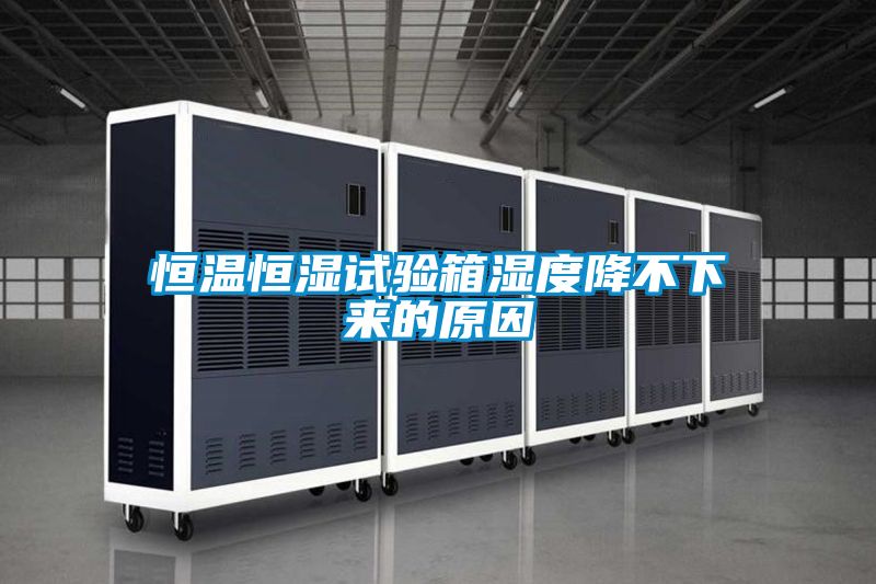 恒温恒湿试验箱湿度降不下来的原因