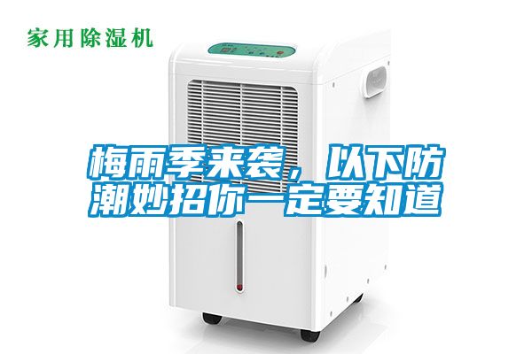 梅雨季来袭，以下防潮妙招你一定要知道